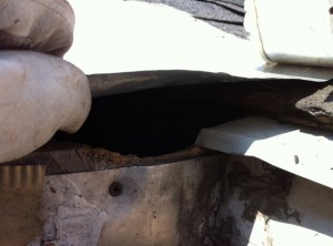 Animal Hole in Chimney